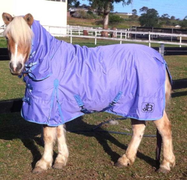 lavender winter horse rug 1