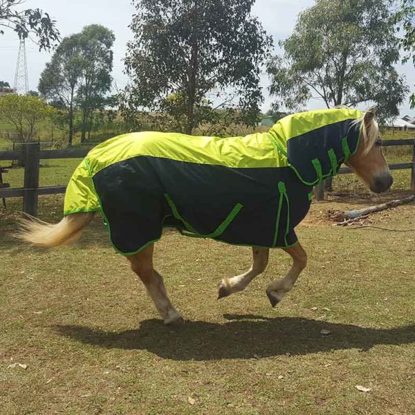 900d rain sheet horse combo right side running jojubi saddlery 800