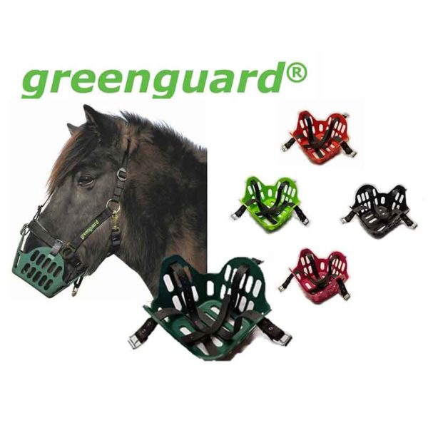 greenguard horse grazing muzzle multiple colours 800