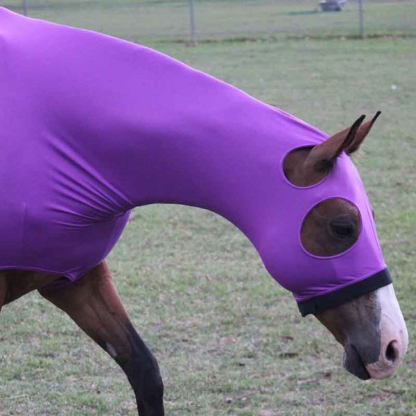 lycra horse hood purple right side closeup jojubi saddlery 800