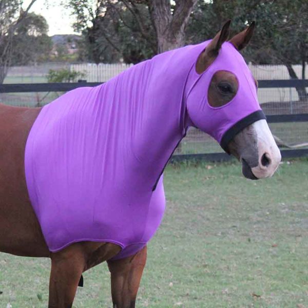 lycra horse hood purple right side jojubi saddlery 800