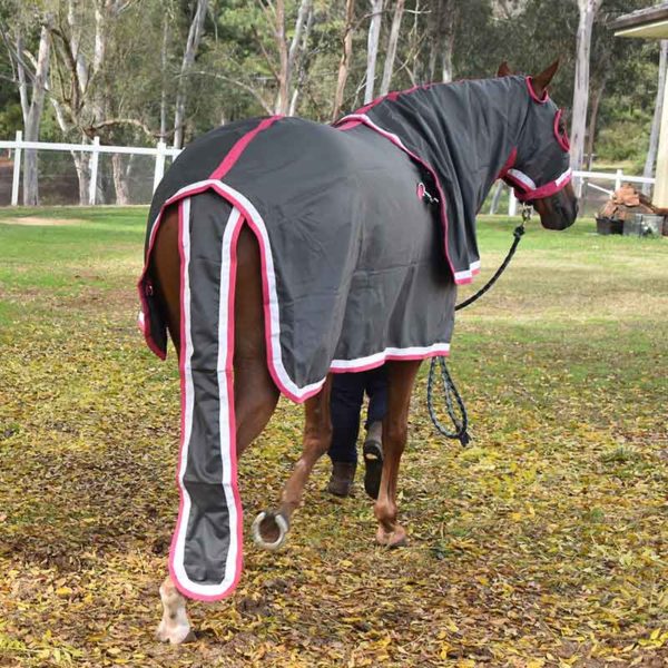 show set horse rug grey pink back jojubi saddlery 800