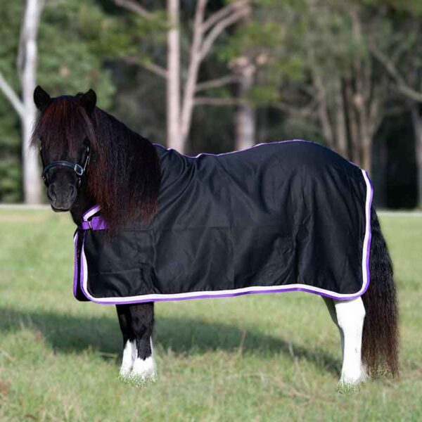 mini horse rugs black purple binding left side jojubi saddlery 800