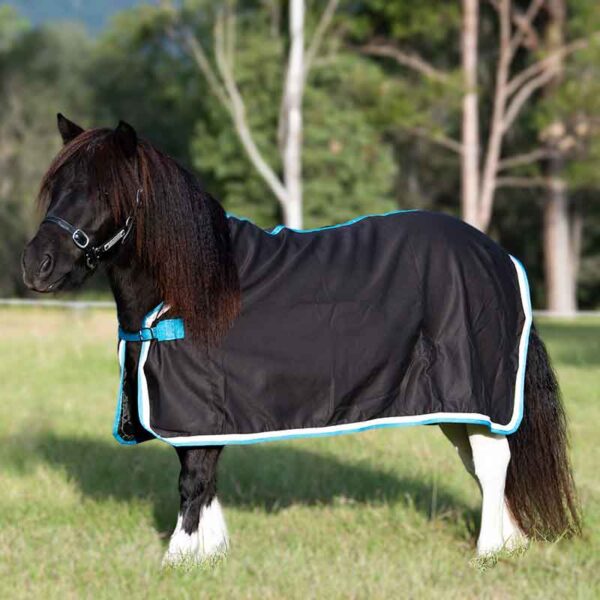 mini horse rugs black teal binding left side jojubi saddlery 800 jpg