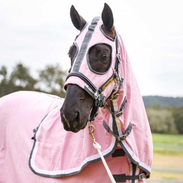show set horse rug pink front jojubi saddlery 800