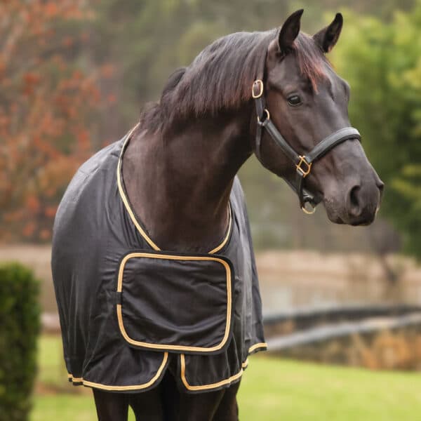 trophy horse rug black gold front jojubi saddlery 800