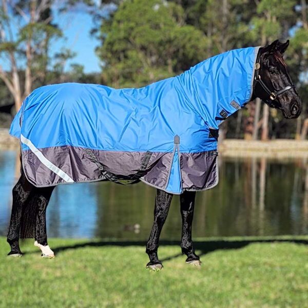 horse rainsheet combo blue jojubi saddlery