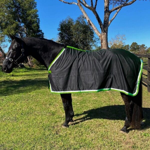 jojubi black green trophy rug