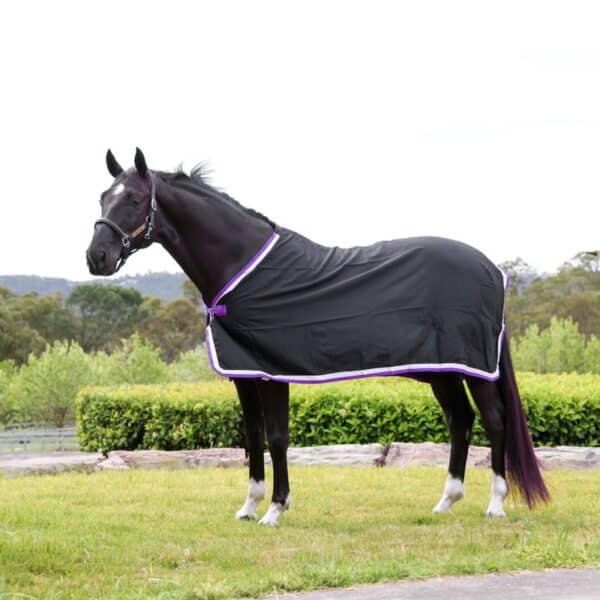 jojubi black purple trophy rug