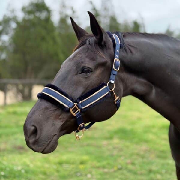 jojubi navy rose halter1